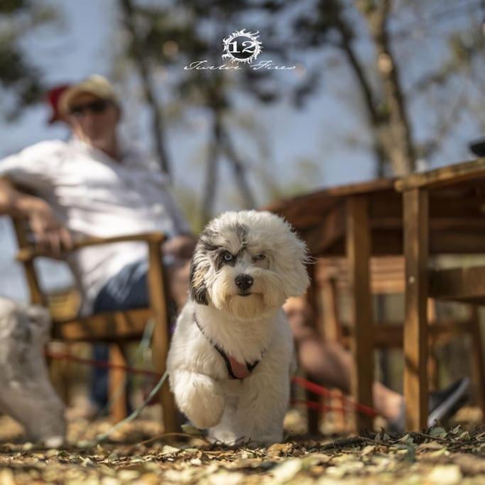 Готель 12 Fires Luxury Glamping With Heating #1 Джонсон-Сіті Екстер'єр фото